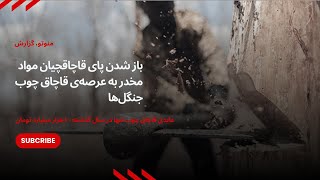 باز شدن پای معتادان و قاچاقچیان مواد مخدر به عرصه‌ی قاچاق سازمانه یافته چوب‌ جنگل‌ها