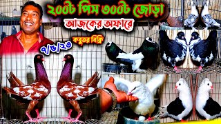 একদম পানির দামে কবুতর কিনুন | মাত্র ২০০ টাকা পিস ৩০০ টাকা জোড়া কবুতর বিক্রি | খুবই কম দামে কবুতর