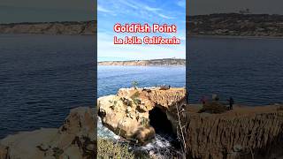 Stunning Goldfish Point In La Jolla, Ca - A Must-see Destination#lajollacove #lajolla