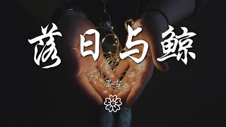 墨雪 - 落日與鯨『你緩緩靠近海面 我匆匆向你奔躍』【動態歌詞Lyrics】