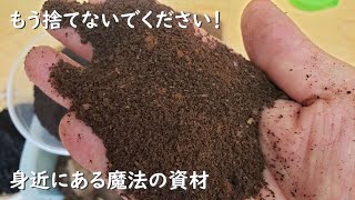 もったいない捨てないで！肥料効果の高いコーヒーかすの使い方嫌気性ぼかし肥料肥料の作り方）