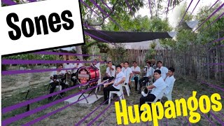 Banda Sorpresa de Coamitla -"Sones y Huapangos"