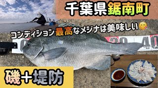 【千葉県鋸南町】磯＋堤防の釣り場でコンディション最高なメジナが釣れた🎣