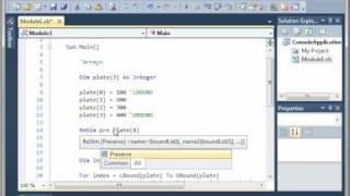 Visual Basic 13 - Resize Arrays