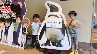 ざんねんないきもの展2 サンシャイン水族館 どうしてこうなった⁉︎