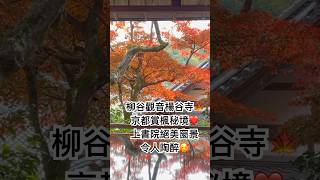 京都楓葉 柳谷觀音 楊谷寺🍁京都賞楓秘境。上書院絕美窗景令人陶醉🥰#柳谷觀音#京都#楓葉#kyoto #劉星老師 #上書院 #柳谷寺