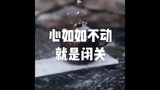 201708 心如如不动就是闭关23193