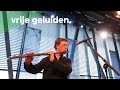 Mark Alban Lotz - Whole Steps (live @Bimhuis Amsterdam)