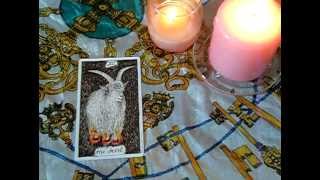 192. The Wild Unknown Tarot: Major Arcana