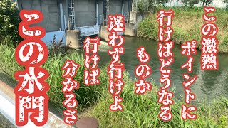 （関東バス釣りスポット）茨城県某水門に行って来た！！迷わず行けよ行けば分かるさ！激熱スポット完全紹介