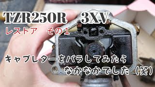 【TZR250R  3xv】　レストア　その1  エンジン始動確認をしようと思ったら……😭