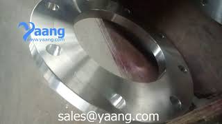 EN1092-1 Type 01 304L Plate Flange RF DN200 PN10 - www.yaang.com