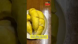 Pokok anak durian kerdil – Pilih betul, tanam tepat, untung tinggi!\