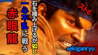 黙々と鍛錬を続ける赤眼龍（リュウVSベガ、ラシード）【スト6】【sekiganryu】【赤眼龍】【スト5元世界No1リュウ】【リュウ】