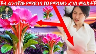 ችላሊሉአቸው የማይገቡ 10 የማህፀን ካንሠር ምልክቶች#ethioforumኢትዮፎረም #loveየማህፀን ካንሠር, ebs tv, ኤፍ ቢ ሲ, hope music