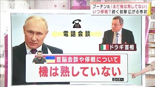 チョルノービリ原発　ロシア軍撤退　続く砲撃　広がる惨状　いつ停戦？　専門家が解説(2022年4月1日)