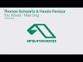 thomas schwartz u0026 fausto fanizza you would