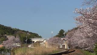 【鉄道走行動画】JR土讃線 枝川→朝倉 2輌(キハ32系)