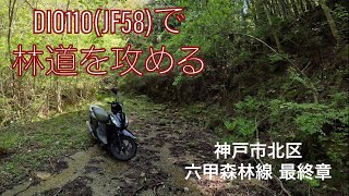 DIO110(JF58)で林道を攻める 神戸市北区 六甲森林線 最終章