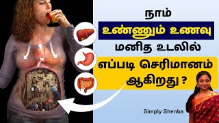 Digestion -How the Digestive System Works ? நாம் உண்ணும் உணவு மனித உடலில் எப்படி செரிமானம் ஆகிறது ?