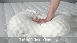 หมอนยางพารา แบบนวด หมอนเพื่อสุขภาพ - SleepHappy TH