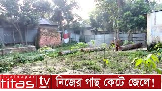 নিজের গাছ কেটে ২১ দিন ধরে হাজত খাটছেন তিন ব্যক্তি, #TreeCut #Comilla #NabinagarTitastv