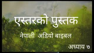 एस्तरको पुस्तक अध्याय ७/ the book of esther in nepali/NEPALI AUDIO BIBLE