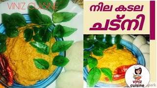 നില കടല ചട്നി |Peanut chutney for idli dosa|viniz cuisine