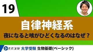 【生物基礎】自律神経系【第19講】