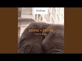Stone by Stone (feat. G-Roots)