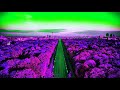 magicxbeats escaped the city 2 purple version