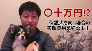 保護犬の初期費用、私は〇十万円かかりました！