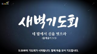 20241030 의선교회 새벽기도회 시편 27~29편