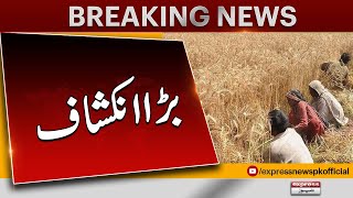 Big revelation | wheat import in Pakistan 2024 | Breaking News | Pakistan News | Latest News