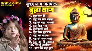 सुबह शाम अनमोल बुद्धा सांग Top 11 Buddha Song | New Buddha Bhajan 2024 | Buddha Song 2024 #buddha