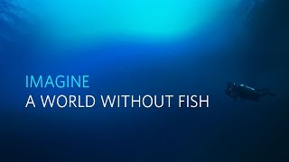Imagine a world without fish
