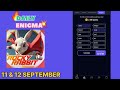 11 September Rocky Rabbit game solved Enigma