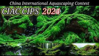 TOP 50 CIAC CIPS 2024 (China International Aquascaping Contest)