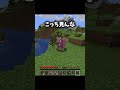 こっち見んな minecraft shorts