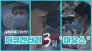 (실험동물자원센터) 다큐멘터리 3일 '마우스'