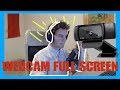 How To Full screen Your Webcam In OBS Studio