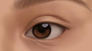 (TUTORIAL) DIGITAL DRAWING: HOW TO DRAW REALISTIC EYES