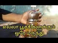 best pesticide for All insects | GARDENING TAMIL