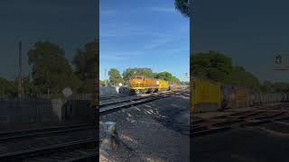 1281S @ Millswood #shorts #viral #streamliner #aurizon