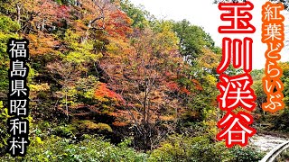 【紅葉ドライブ】紅葉の始まった玉川渓谷　酷道401号　福島県昭和村