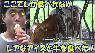 日本で200頭しかいない牛のアイスと牛乳が飲める場所に行った結果