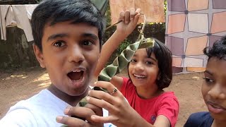 Daily Vlog ഓല പാമ്പ്, കണ്ണട