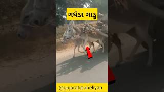 ગધેડા ગાડુ || || judad || #ગધેડો  #જુગાડ #donkey #shorts #indianjugad #desijugad  #shortfeed