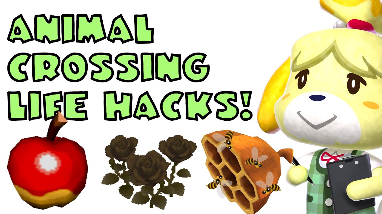 ANIMAL CROSSING LIFE HACKS! [New Leaf] - YouTube