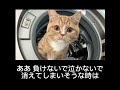 歌ってみちゃった【手紙〜拝啓十五の君へ〜／アンジェラ・アキ】㉑👂⚠️